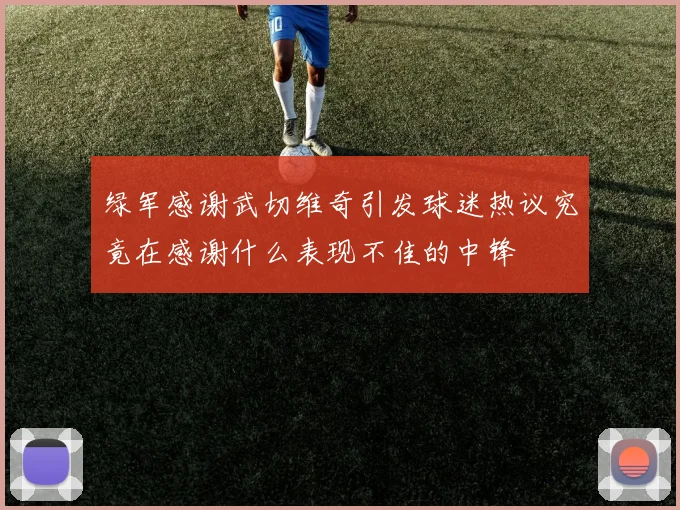 绿军感谢武切维奇引发球迷热议究竟在感谢什么表现不佳的中锋